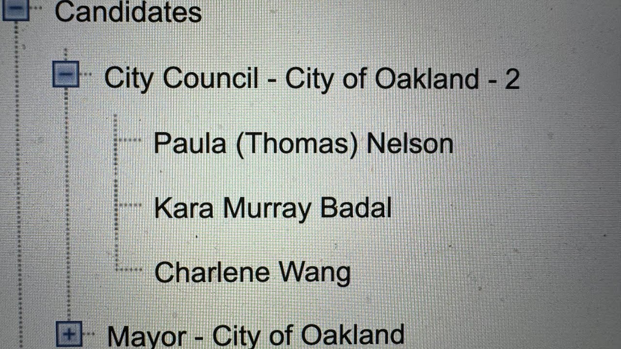 Oakland City Council District 2 Race Special Election Has Nelson, Badal, Wang As Candidates