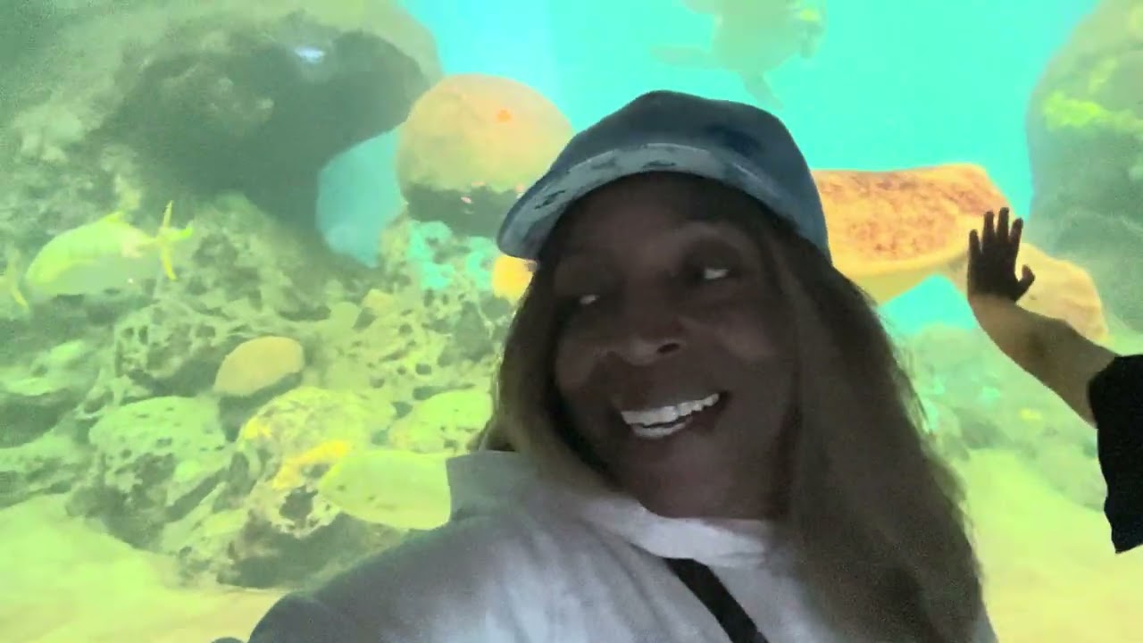 BIRTHDAY VLOG IN SAN DIEGO | SeaWorld Orca Show, Lafayette Hotel Stay & Dinner at Lumi’s