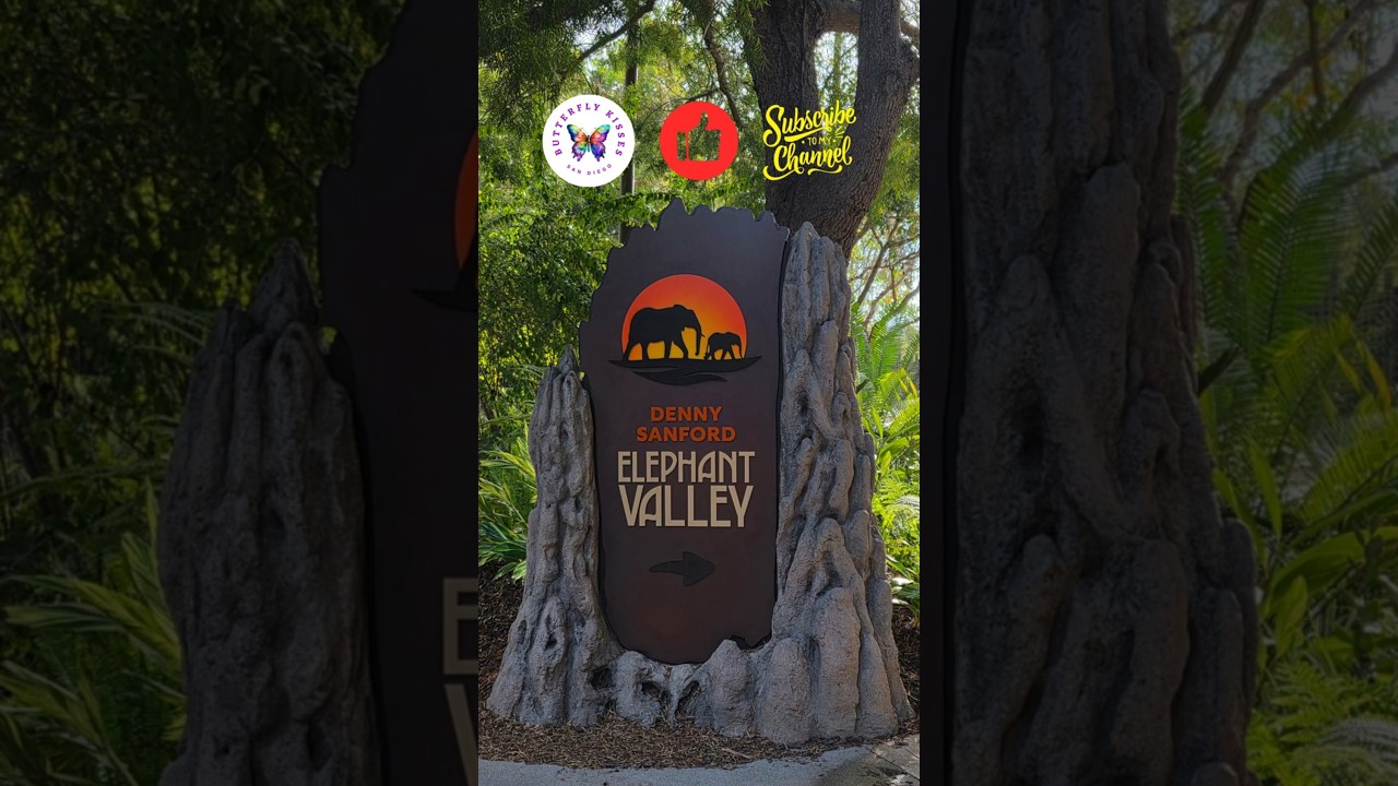 NEW Elephant Valley San Diego Zoo Safari Park California