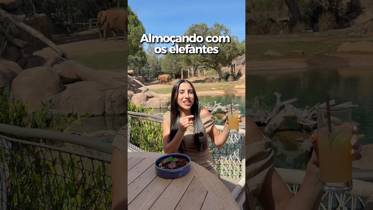 ALMOÇO COM OS ELEFANTES NO NOVO RESTAURANTE DO SAN DIEGO ZOO SAFARI PARK! #safari #sandiego