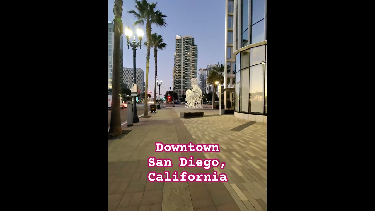 Going to Animae Restaurant in San Diego, California