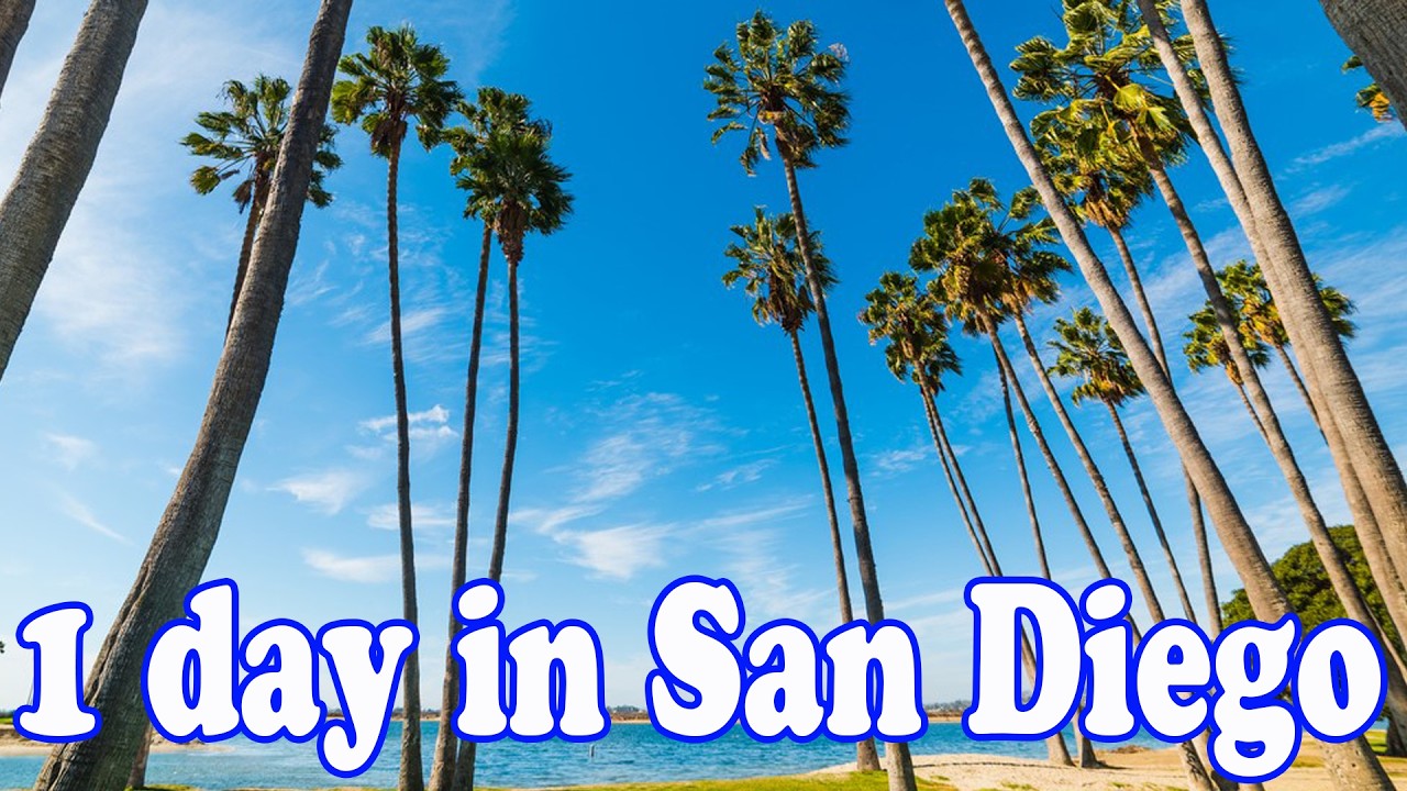San Diego in 24 hours: the best food spots we found San Diego in 24 hours: the best food spots we found