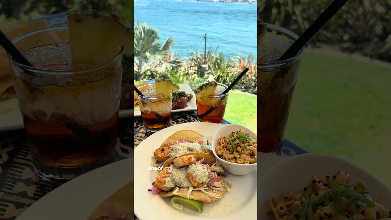 Spend a day with us on Shelter Island, San Diego 🌴🍹🎣