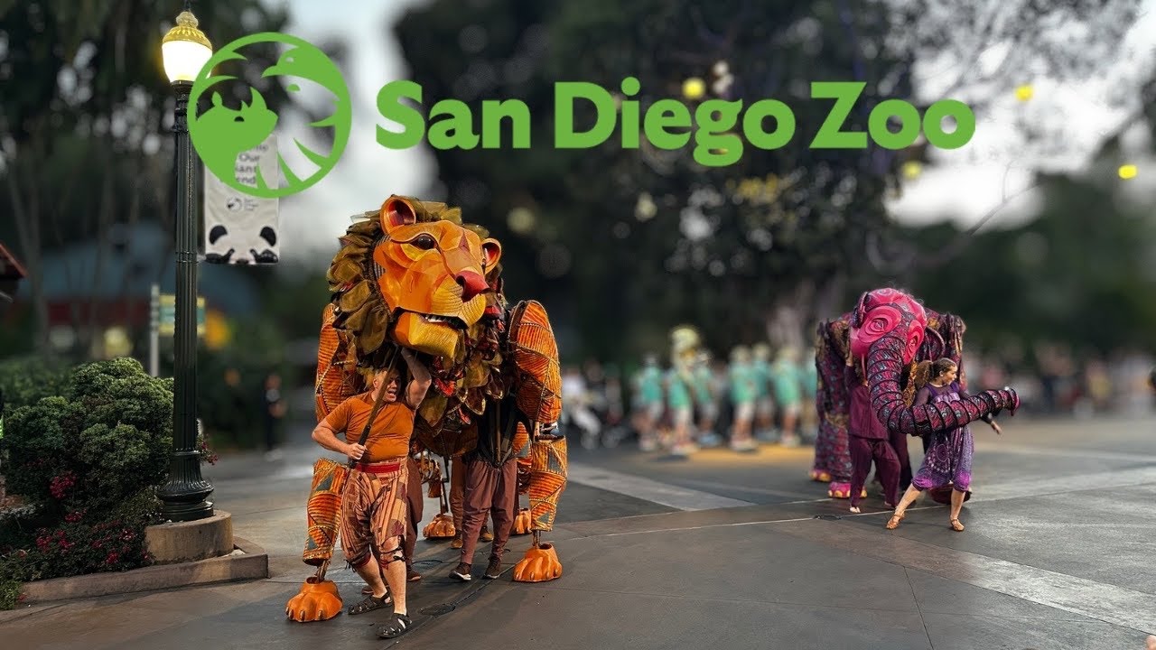 Nighttime Zoo: A Celebration to Remember at the San Diego Zoo – 2026 Event Guide Nighttime Zoo: A Celebration to Remember at the San Diego Zoo – 2026 Event Guide